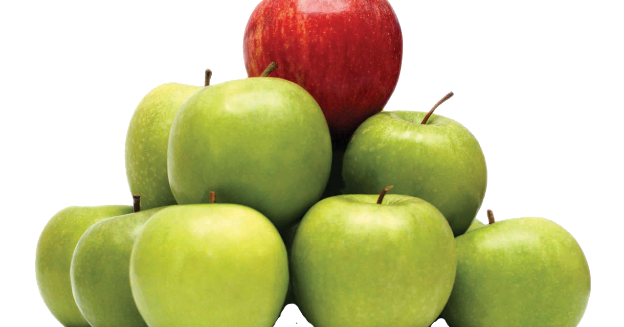 Scopuri principale pentru strategia de branding