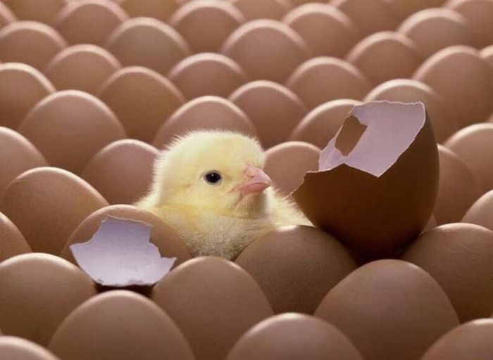 Inainte de toate, opreste-te la definirea brandului tau