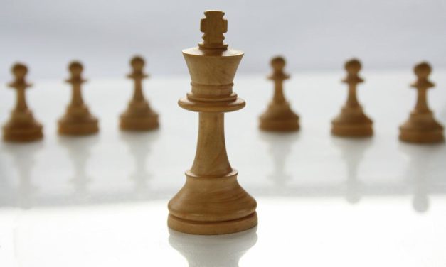 Liderii unei piete in continua dezvoltare – Infografic