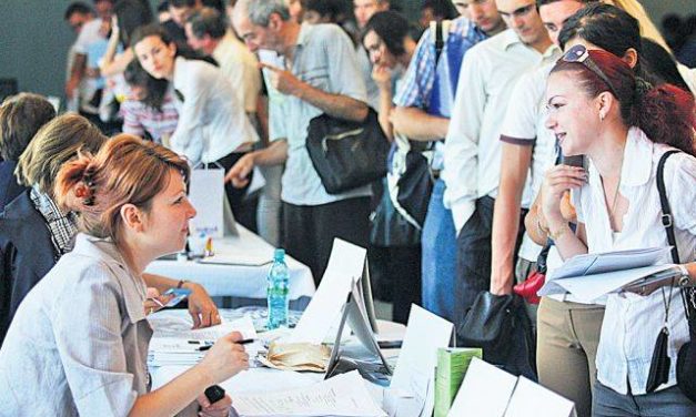 Ce domenii atrag cel mai mult tinerii din Romania care isi cauta un job