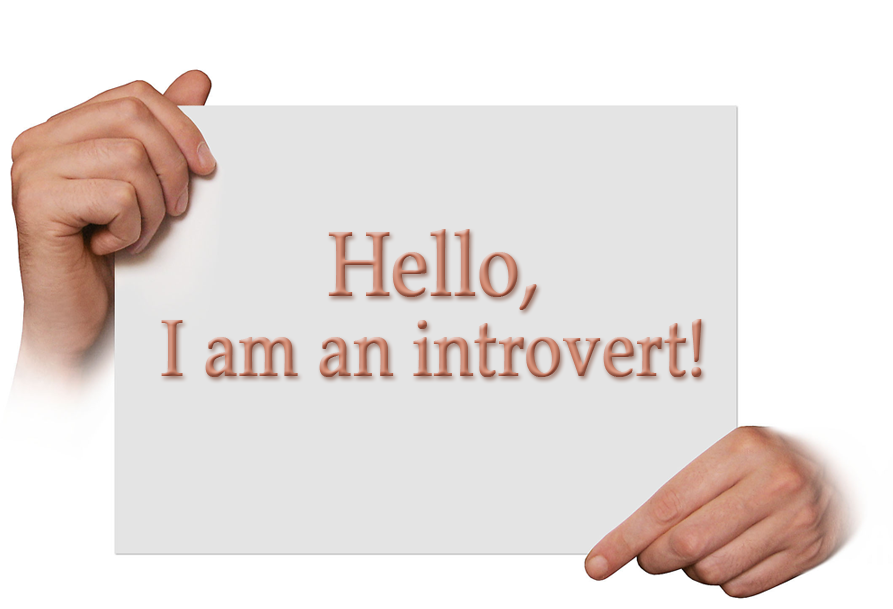 Cum poate un lider introvertit sa conduca o afacere de succes