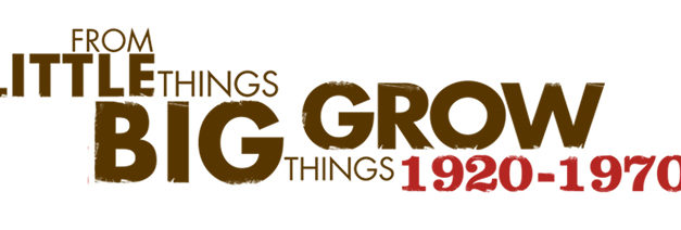 Brand-ul vizibil si de succes nu depinde de panouri publicitare.