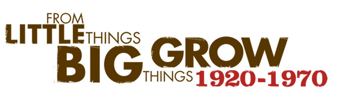 Brand-ul vizibil si de succes nu depinde de panouri publicitare.