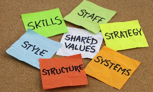 Culturi organizationale inspirationale