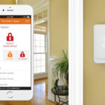 Segmentul tech care dezvolta mai mult de o piata de afaceri