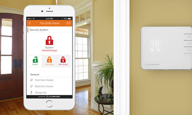 Segmentul tech care dezvolta mai mult de o piata de afaceri