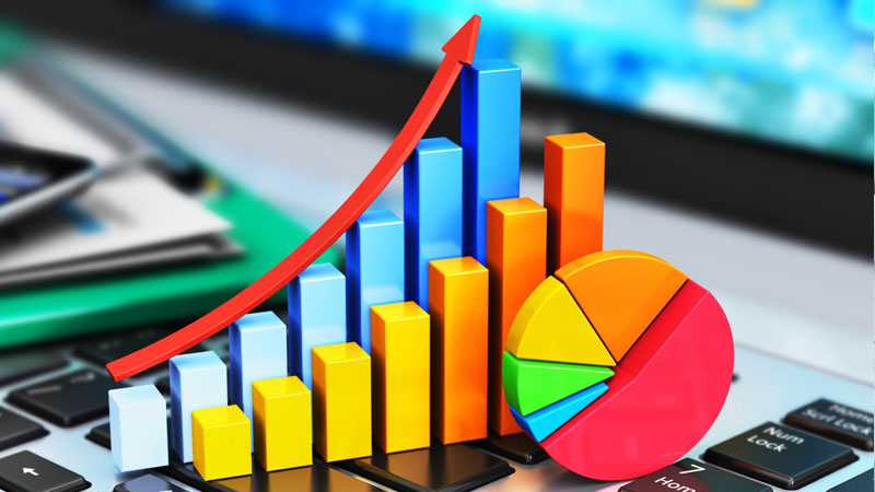 Statistici SEO (Search Engine Optimization)