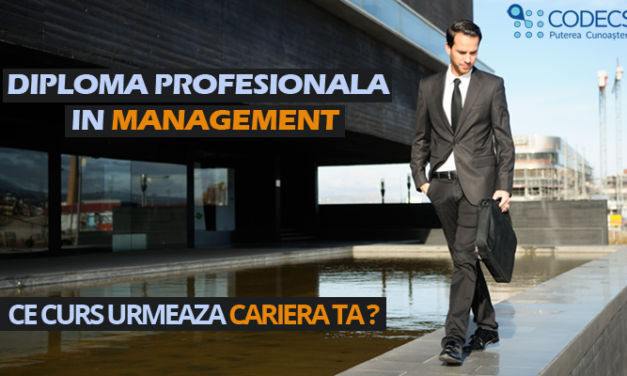 Februarie – Noiembrie 2018, Bucuresti, Diploma Profesionala in Management