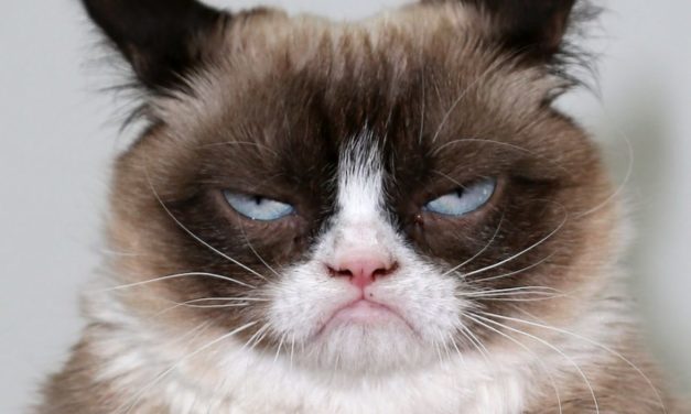 4 tipuri de clienti dificili si cum sa te descurci cu ei