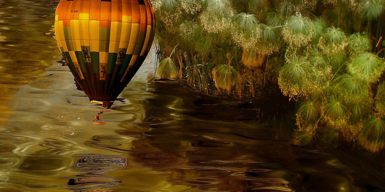 Stereogramele – arta iluziilor