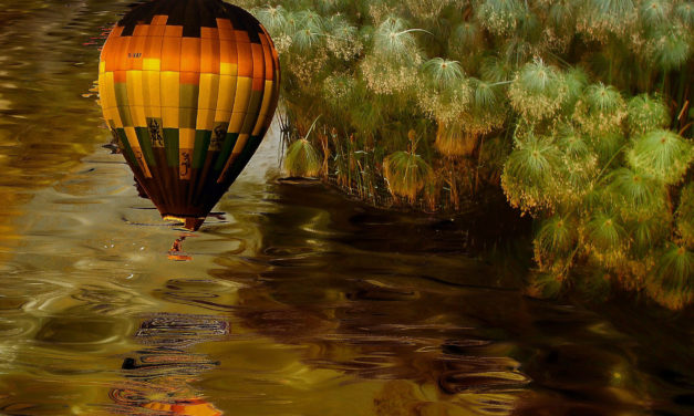 Stereogramele – arta iluziilor