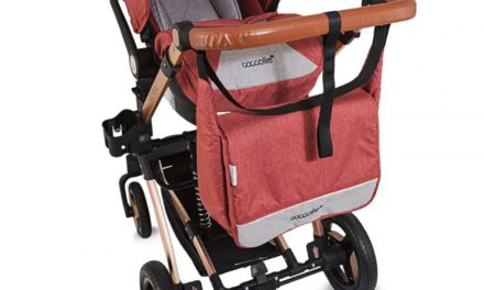 Aspecte de bifat in alegerea caruciorului pentru copil – recomandari de la Nichiduta