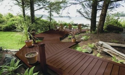 Ai nevoie de solutii pentru a suprainalta deck WPC sau din lemn?  Afla cum te ajuta ploturi reglabile pentru terasa de la Decolandia