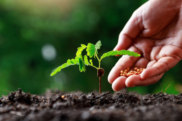 5 afaceri agricole pe care le poți înființa cu investiții minime