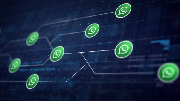 WhatsApp Marketing: afla cum poti folosi aceasta aplicatie pentru afacerea ta