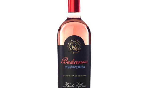 Iubitorii de vinuri trebuie se deguste soiurile din Crama Budureasca