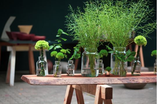 Cum iti amenajezi gradina in stil minimalist – tips & tricks