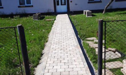 Paseste cu incredere in scoala