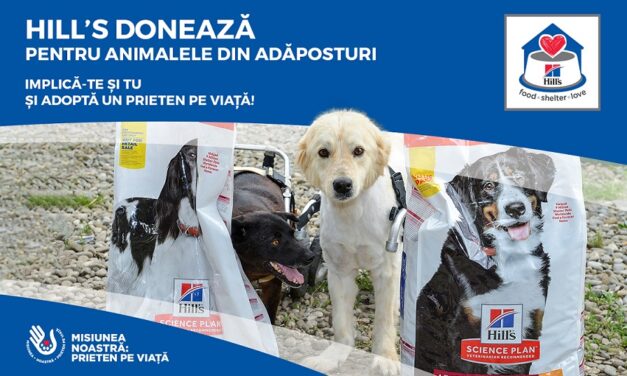 Hill’s Pet Nutrition doneaza mii de kilograme de hrana pentru animalele din adaposturi in cadrul campaniei #MisiuneaNoastraPrietenPeViata