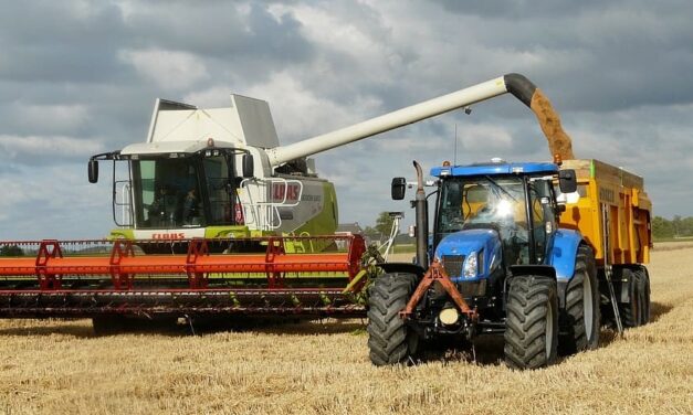 Secretele unei afaceri reusite in sectorul agro-industrial