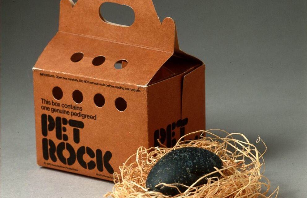 13 idei de afaceri nebunesti care au facut bani