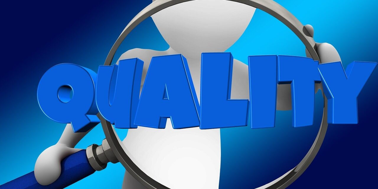 La ce se referă standardul ISO 9001