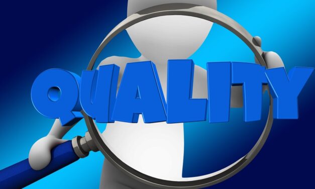 La ce se referă standardul ISO 9001