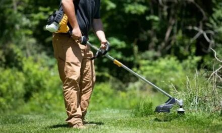 Tot ce ai nevoie pentru casa si gradina ta la Bricolaj Market vei gasi