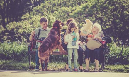 10 cele mai bune rase de caini pentru copii si familie