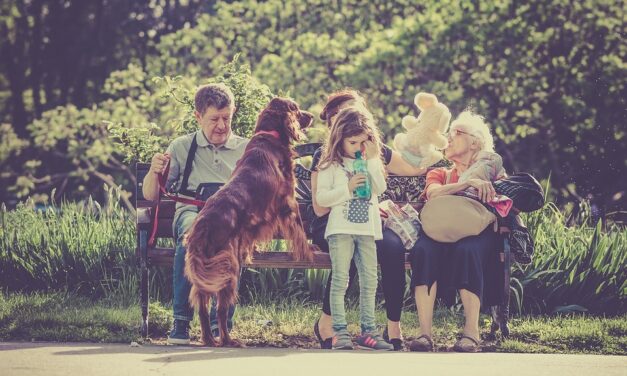 10 cele mai bune rase de caini pentru copii si familie