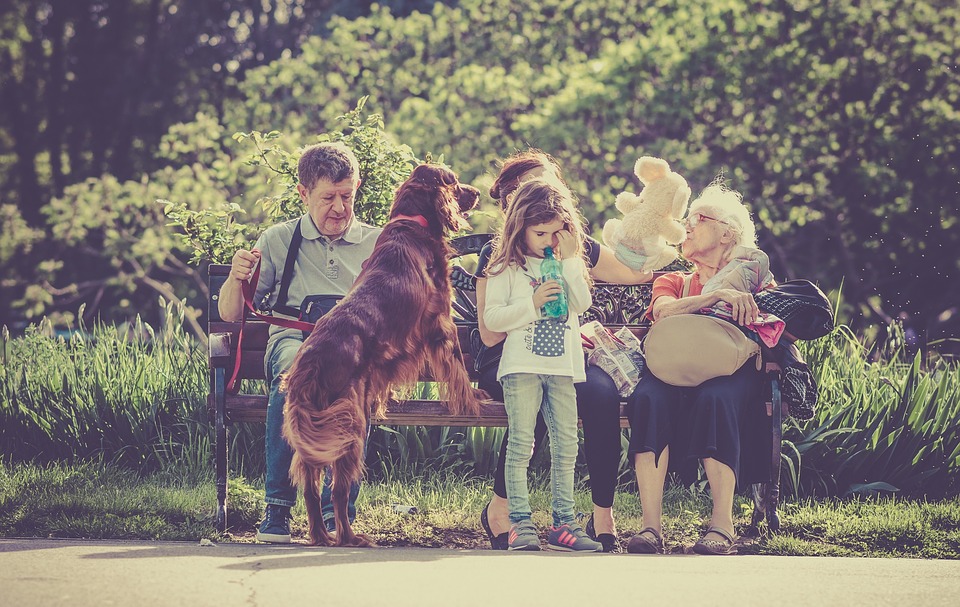 10 cele mai bune rase de caini pentru copii si familie