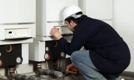 Iata care poate fi scopul unei supape!