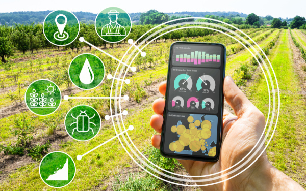 Cele mai importante sfaturi pentru a incepe o afacere de succes in domeniul agriculturii