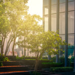 Inovații care transformă biroul într-un mediu sustenabil pentru angajați