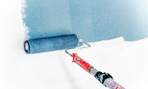 5 solutii eficiente de prevenire a mucegaiului din casa