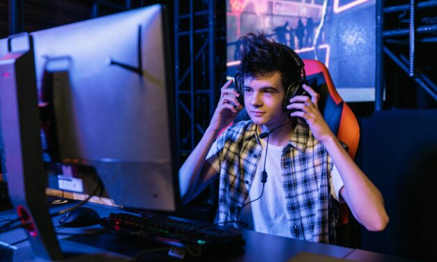 Industria de gaming – o joacă profitabilă