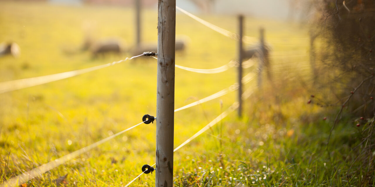 Ce izolatori pentru gardul electric sa alegi: 3 tipuri potrivite