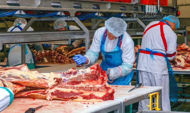 Salarii Atractive în Germania: 3 Idei de Meserii pentru Românii în Căutarea unui Job
