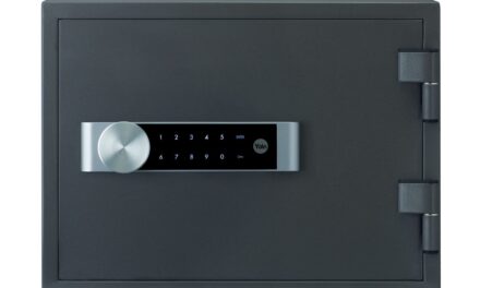 Motive pentru care ar trebui să alegi un seif antifoc pentru protecția obiectelor de valoare