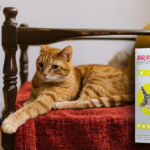 Ce tipuri de produse antiparazitare interne pentru pisici exista si cand ai nevoie de ele?