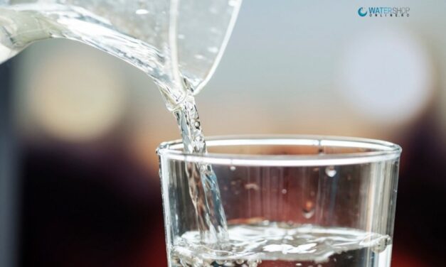 Esti nostalgic si vrei sa ai acasa un dozator de apa si sifon? Vezi produsele de la Water Shop Online