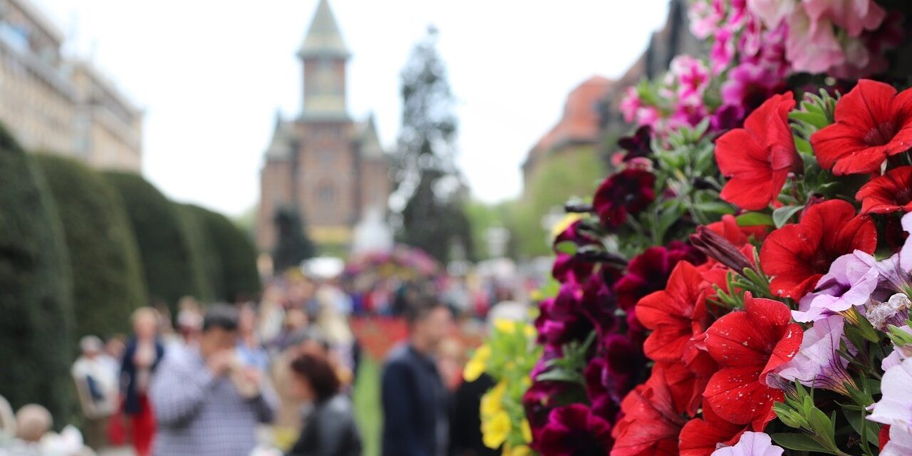 Perioada ideală pentru a vizita orașul Timișoara