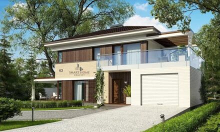 De ce sa tii cont atunci cand cauti proiecte pentru case moderne de la Smart Home Concept?