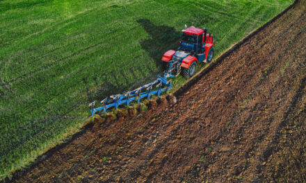 Pământul nu uită: cum întreții solul ca să ai recoltă și peste 10 ani