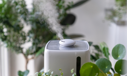 Cum îmbunătățește un difuzor de parfum profesional experiența clienților și a angajaților?