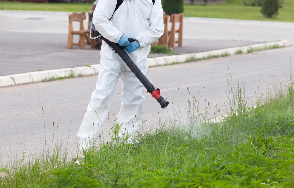 Cum alegi o firmă DDD de încredere în Iași
