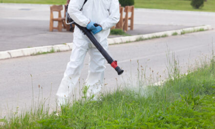 Cum alegi o firmă DDD de încredere în Iași