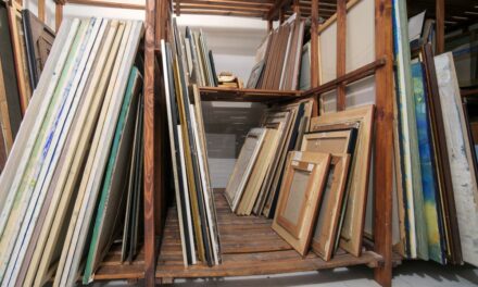 Importanța controlului climatic în spațiile de depozitare pentru colecționari